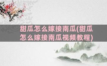 甜瓜怎么嫁接南瓜(甜瓜怎么嫁接南瓜视频教程)