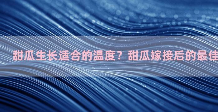 甜瓜生长适合的温度？甜瓜嫁接后的最佳温度是多少