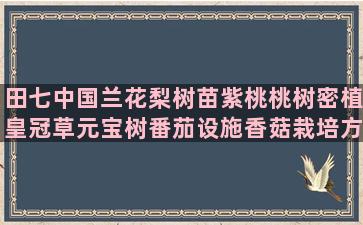 田七中国兰花梨树苗紫桃桃树密植皇冠草元宝树番茄设施香菇栽培方法