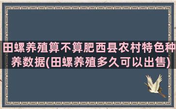 田螺养殖算不算肥西县农村特色种养数据(田螺养殖多久可以出售)