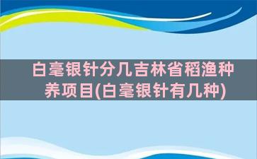 白毫银针分几吉林省稻渔种养项目(白毫银针有几种)