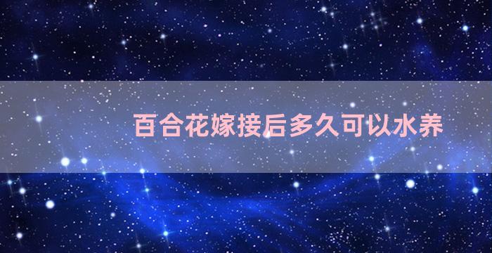 百合花嫁接后多久可以水养