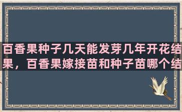 百香果种子几天能发芽几年开花结果，百香果嫁接苗和种子苗哪个结果快