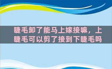 睫毛卸了能马上嫁接嘛，上睫毛可以剪了接到下睫毛吗