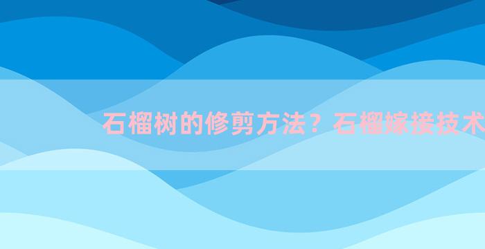 石榴树的修剪方法？石榴嫁接技术