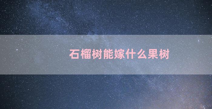 石榴树能嫁什么果树