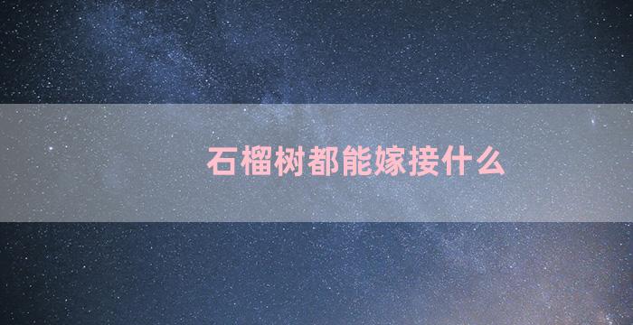 石榴树都能嫁接什么