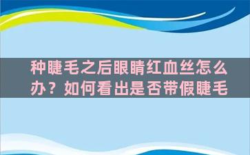 种睫毛之后眼睛红血丝怎么办？如何看出是否带假睫毛