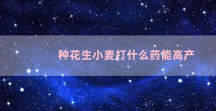 种花生小麦打什么药能高产