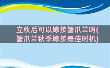 立秋后可以嫁接蟹爪兰吗(蟹爪兰秋季嫁接最佳时机)