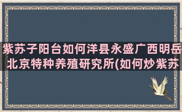 紫苏子阳台如何洋县永盛广西明岳北京特种养殖研究所(如何炒紫苏子)