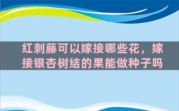 红刺藤可以嫁接哪些花，嫁接银杏树结的果能做种子吗