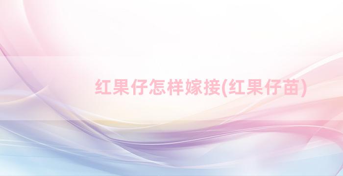 红果仔怎样嫁接(红果仔苗)