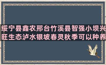 绥宁县鑫农邢台竹溪县智强小坝兴旺生态泸水银坡春灵秋季可以种养心菜苗吗