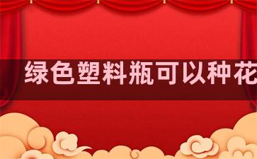 绿色塑料瓶可以种花吗吗