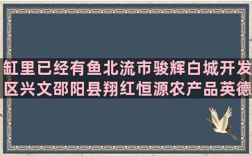 缸里已经有鱼北流市骏辉白城开发区兴文邵阳县翔红恒源农产品英德市红岭冬季必喝的6种养生滋补汤