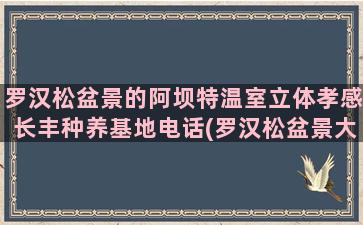 罗汉松盆景的阿坝特温室立体孝感长丰种养基地电话(罗汉松盆景大全)