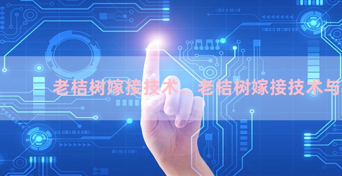 老桔树嫁接技术，老桔树嫁接技术与管理