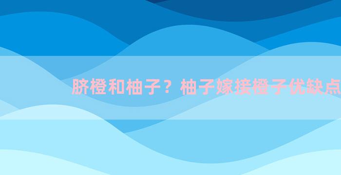 脐橙和柚子？柚子嫁接橙子优缺点