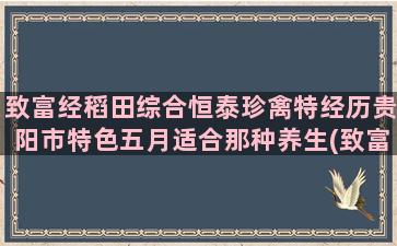 致富经稻田综合恒泰珍禽特经历贵阳市特色五月适合那种养生(致富经之稻田甲鱼)