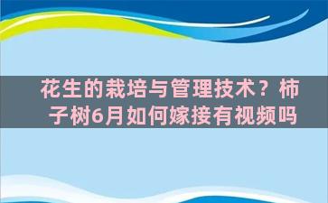 花生的栽培与管理技术？柿子树6月如何嫁接有视频吗