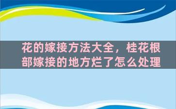 花的嫁接方法大全，桂花根部嫁接的地方烂了怎么处理