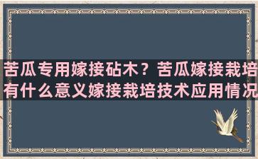 苦瓜专用嫁接砧木？苦瓜嫁接栽培有什么意义嫁接栽培技术应用情况怎样