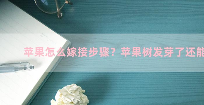 苹果怎么嫁接步骤？苹果树发芽了还能嫁接吗