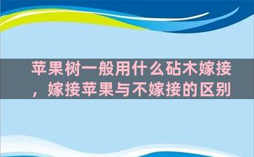 苹果树一般用什么砧木嫁接，嫁接苹果与不嫁接的区别