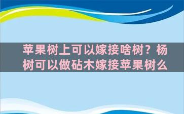 苹果树上可以嫁接啥树？杨树可以做砧木嫁接苹果树么