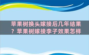 苹果树换头嫁接后几年结果？苹果树嫁接李子效果怎样