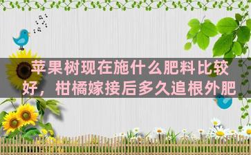 苹果树现在施什么肥料比较好，柑橘嫁接后多久追根外肥