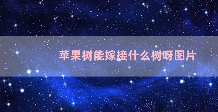 苹果树能嫁接什么树呀图片