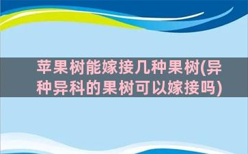 苹果树能嫁接几种果树(异种异科的果树可以嫁接吗)