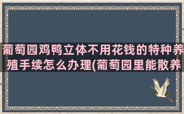 葡萄园鸡鸭立体不用花钱的特种养殖手续怎么办理(葡萄园里能散养鸡鸭吗)