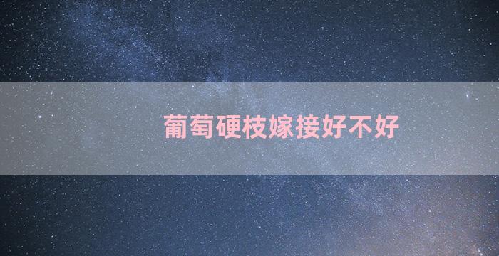 葡萄硬枝嫁接好不好