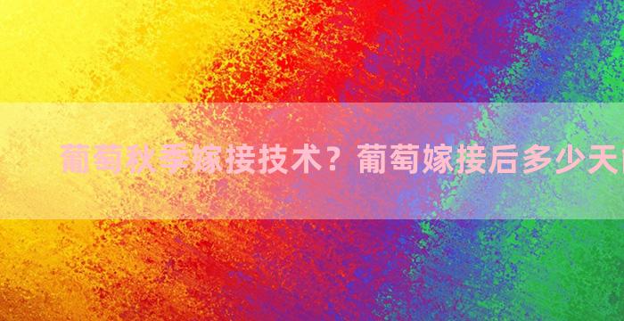 葡萄秋季嫁接技术？葡萄嫁接后多少天能浇水啊