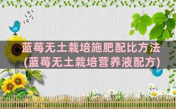 蓝莓无土栽培施肥配比方法(蓝莓无土栽培营养液配方)