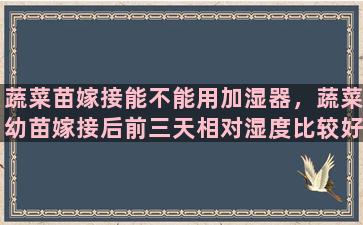 蔬菜苗嫁接能不能用加湿器，蔬菜幼苗嫁接后前三天相对湿度比较好控制在多少