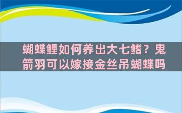 蝴蝶鲤如何养出大七鳍？鬼箭羽可以嫁接金丝吊蝴蝶吗