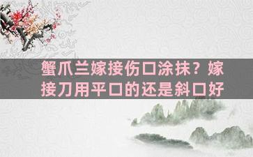 蟹爪兰嫁接伤口涂抹？嫁接刀用平口的还是斜口好