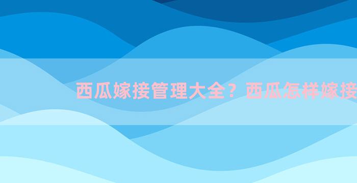 西瓜嫁接管理大全？西瓜怎样嫁接