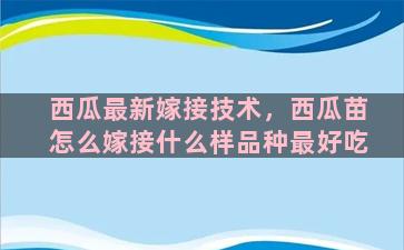 西瓜最新嫁接技术，西瓜苗怎么嫁接什么样品种最好吃