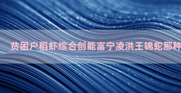 贫困户稻虾综合创能富宁凌洪王锦蛇那种养殖模式好