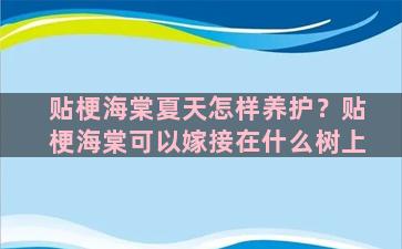 贴梗海棠夏天怎样养护？贴梗海棠可以嫁接在什么树上