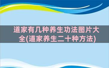 道家有几种养生功法图片大全(道家养生二十种方法)