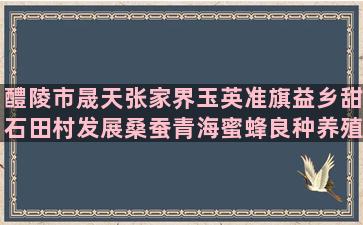 醴陵市晟天张家界玉英准旗益乡甜石田村发展桑蚕青海蜜蜂良种养殖场怎么样(醴陵市到张家界有多远)