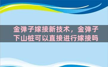 金弹子嫁接新技术，金弹子下山桩可以直接进行嫁接吗