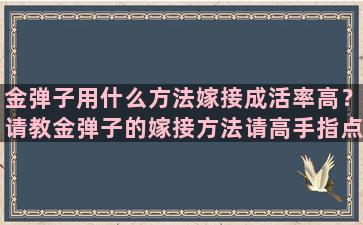 金弹子用什么方法嫁接成活率高？请教金弹子的嫁接方法请高手指点