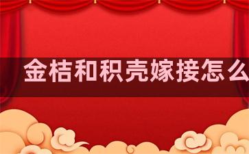 金桔和积壳嫁接怎么嫁接